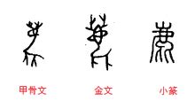 鹿 字|鹿的字源字形